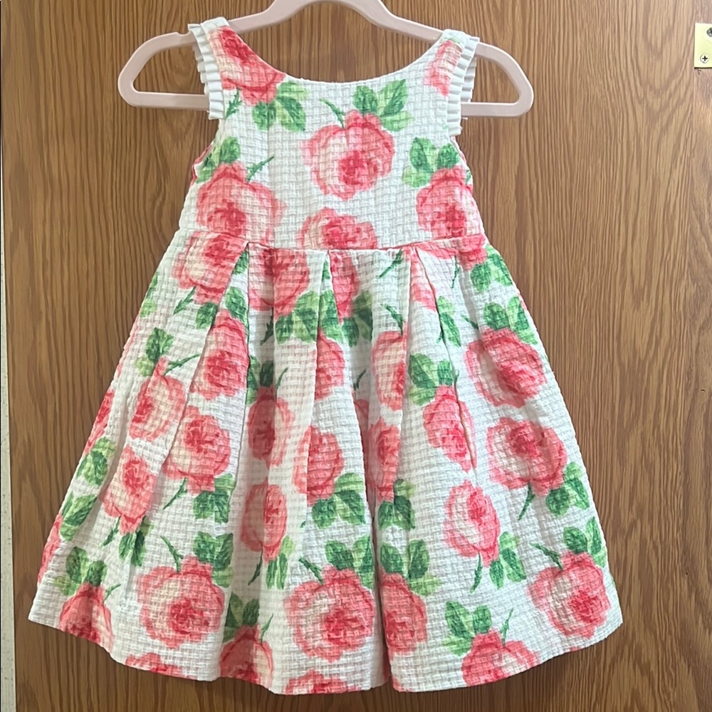 Janie and Jack Textured Pink and Green Rose A-line Sleeveless Dress Girls 2T